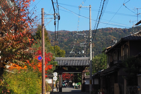 E-Bike Tour in Kyoto with Asuka, Japanese graduate student