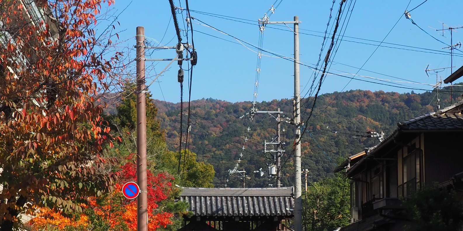 Kyoto experience — temples, geisha, bamboo grove — image 77