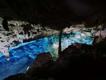 Bayahibe: National Park Jungle Walk & Snorkeling in Cenotes