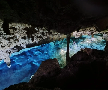 Bayahibe: National Park Jungle Walk & Snorkeling in Cenotes