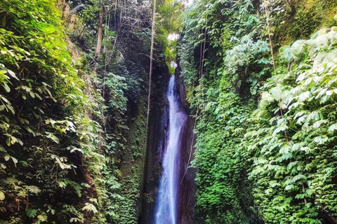 North Bali : Best of 3 Hidden Waterfalls Must be visited Option pricing all inclusive