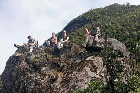 Hidden Trails of Knuckles & Meemure –3-Day Adventure Getaway From Kandy: 3-Day Wilderness Escape: Knuckles & Meemure