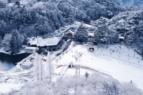 Osaka: Rokko Snow Park – wycieczka 1-dniowa z opcjonalną lekcją jazdy na nartachD (SANKI)