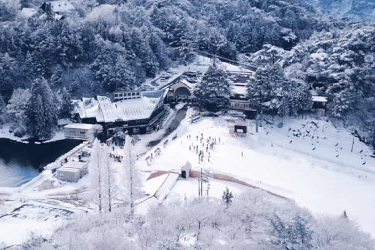 Osaka: Rokko Snow Park – wycieczka 1-dniowa z opcjonalną lekcją jazdy na nartachD (SANKI)
