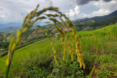 Privado: Terraços de campos de arroz e Parque Nacional Doi Inthanon.