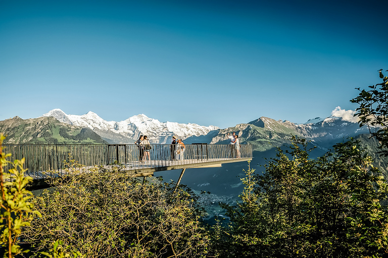 Zürich: Tagesausflug nach Grindelwald & Interlaken mit Bus & Zug