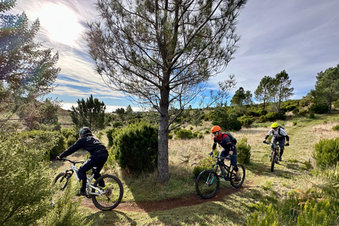 Madeira - Mountain Biking Tour