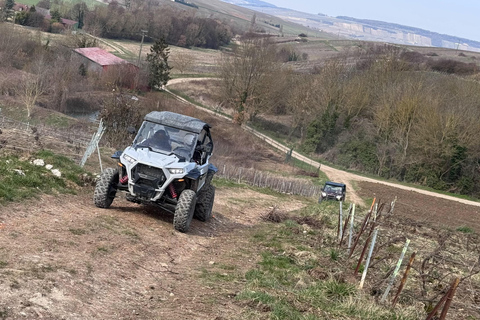 Champagne vineyards: 2-hour guided tour of the vineyards in a Buggy