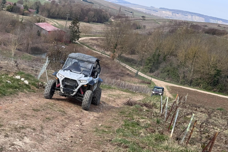 Champagne vineyards: 2-hour guided tour of the vineyards in a Buggy