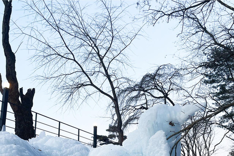 Gamaksan & IceWall Cafe & Eunpyeong HanokVillage & Jingwansa Depart from Hongik Univ. Station Exit 3