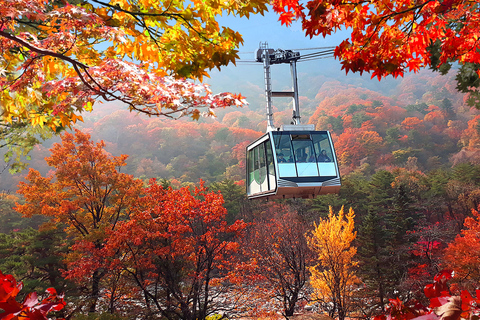 Seoul: Mt.Seorak, Nami Island, No ShoppingGroup Tour - from Hongik Univ. Station Exit 8