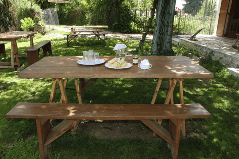 Katakolon: Olympia, Honey Farm, & Winery Shore Excursion