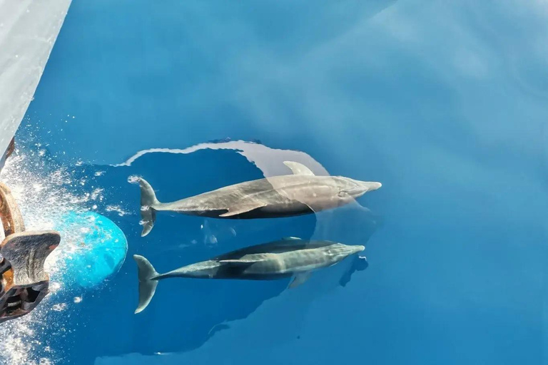 From Corfu: Paxos, Antipaxos, and Blue Caves Boat Trip