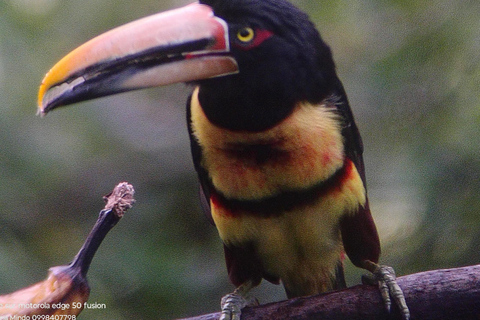 Quito: Mindo Cloud Forest 2-Day Tour with Meals & Hotel