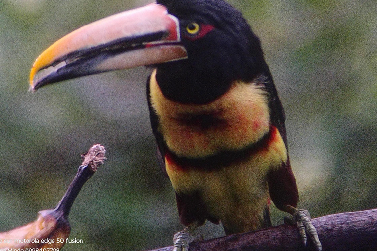 Quito: Mindo Cloud Forest 2-Day Tour with Meals & Hotel