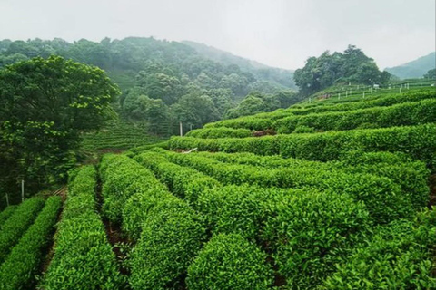 Suzhou: Hangzhou Nine Creeks & Longjing Tea Village Trip