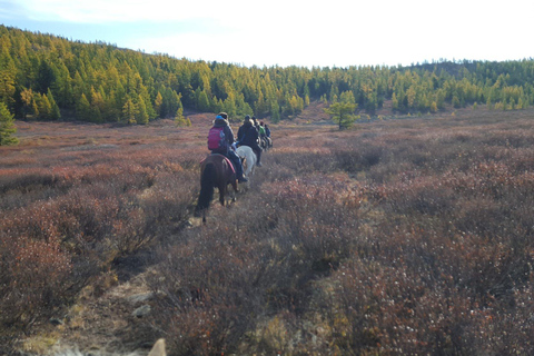 3-Day Tour with Horse Trekking in Terelj National Park