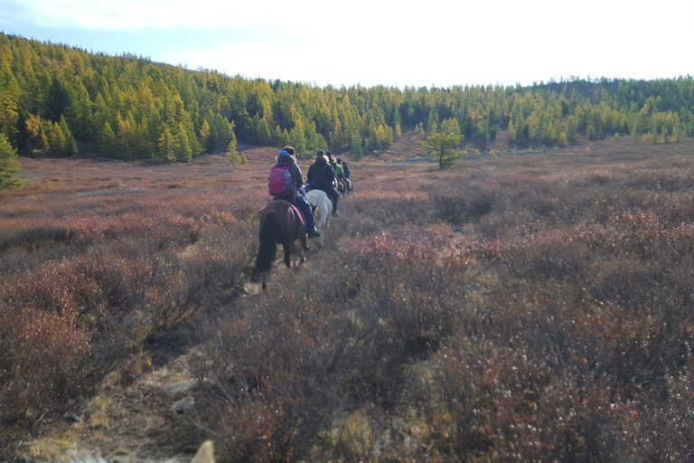 3-Day Tour with Horse Trekking in Terelj National Park