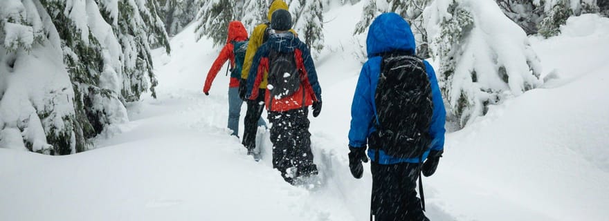 Chamonix: Balade en Raquettes à Neige Sous les Etoiles avec Guide Privatisé