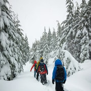 Chamonix: Snowshoe Walk Under the Stars with a Private Guide