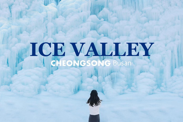 Valle Helado de Cheongsong y Paseo Espacial de Pohang desde BusanEstación de metro de Busan Salida 2