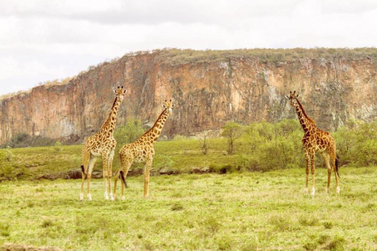 Tour all &quot;Hell &quot;s Gate e al lago Naivasha - Senza tasse per il parco