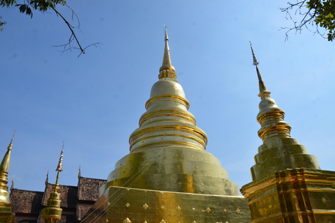 Chiang Mai : visite à pied des hauts lieux historiques et culturelsChiang Mai : Visite à pied des hauts lieux historiques et culturels