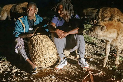 3-tägige Awash National Park &amp; Harar Tour