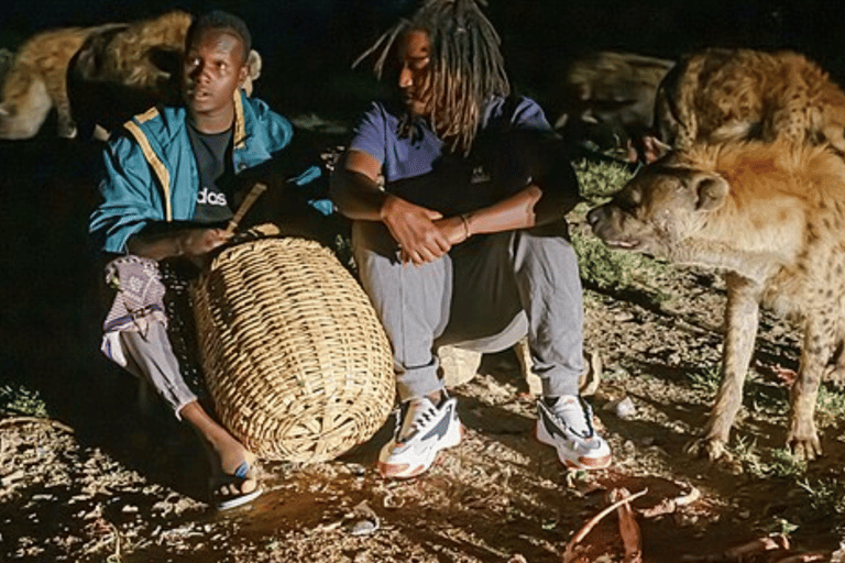 3-tägige Awash National Park &amp; Harar Tour