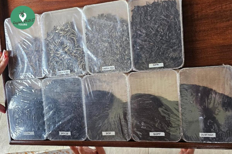 Kandy: Nuwara Eliya Tag Erkundung per Tuk Tuk mit ortskundigem Guide