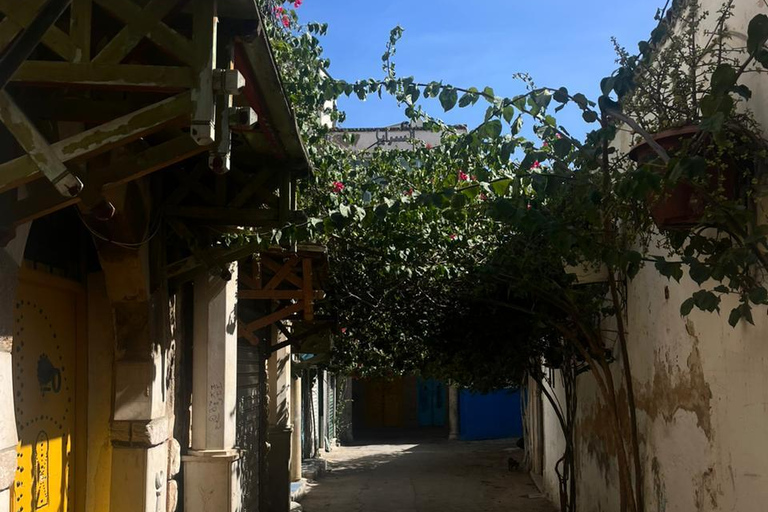 Tunis Express :Carthage, Sidi Bou Saïd & Médina with GENZ