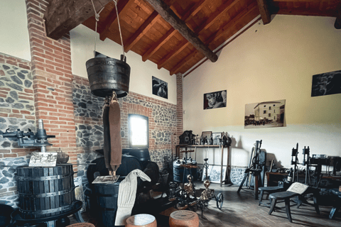 Balsamic Vinegar, Wine Tasting & Tour near Parma & Reggio Balsamic Vinegar & Wine Tasting in Reggio Emilia - Italiano