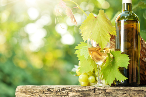 From Pisa or Lucca: San Gimignano and Winery with Lunch San Gimignano and a Winery with Light Lunch from Pisa