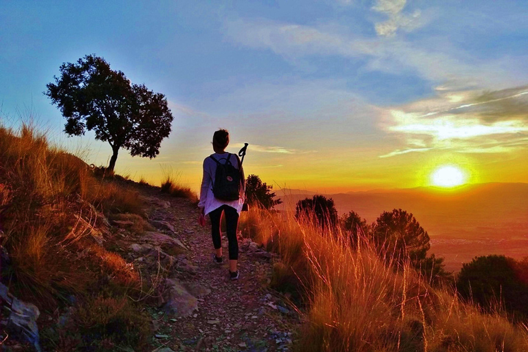 ⭐ Excursión al atardecer y cumbre de Sierra Nevada con cachorro ⭐⭐ Excursión al atardecer y cumbre de Sierra Nevada Excursión privada con cachorro ⭐