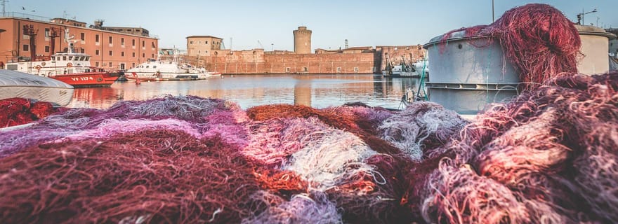 Expérience à Livourne : dégustation de vin à Bolgheri
