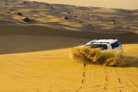 Doha: Desert Safari with Dune Bashing, Camel Ride & Inland