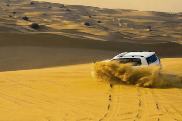 Doha: Desert Safari with Dune Bashing, Camel Ride &amp; Inland