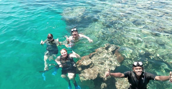 Nadi: Mamanuca Islands Snorkel, Turtle & Iguana Sanctuary