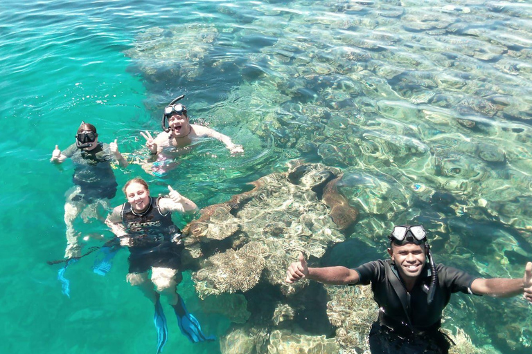 Nadi: Mamanuca Islands Snorkel, Turtle Sanctuary & Lunch