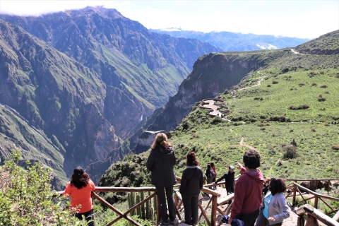 2 Day Trek in Colca Canyon with Private Bedroom 2 Day Trek Colca Canyon with Private Bedroom