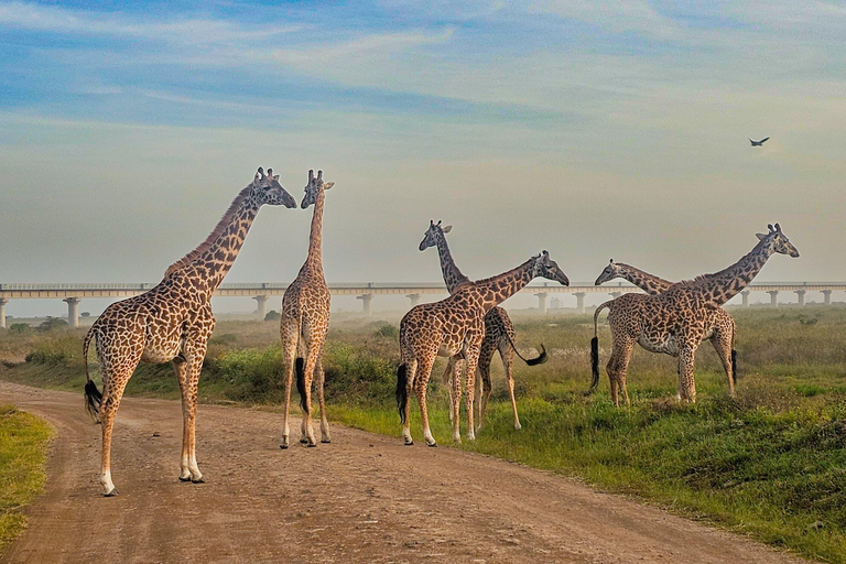 Golden Hour Safari: Afternoon Game Drive in Nairobi park National Park, Elephant Orphanage & Giraffe Private- Van