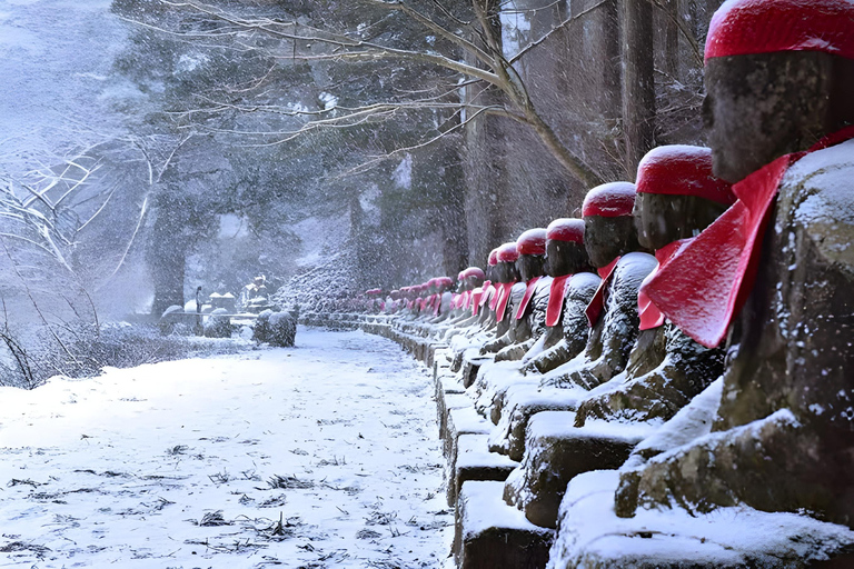 Da Tokyo: Escursione privata di una giornata intera a NikkoTour privato di un giorno di Nikko con visita panoramica di un giorno intero