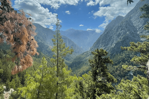 Safaris en Jeep de luxe : Montagnes blanches et visite de la Samarie