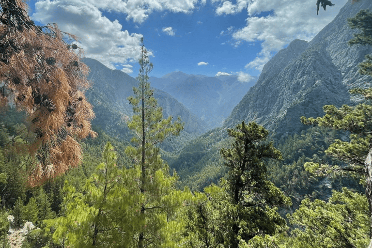 Safaris en Jeep de luxe : Montagnes blanches et visite de la Samarie