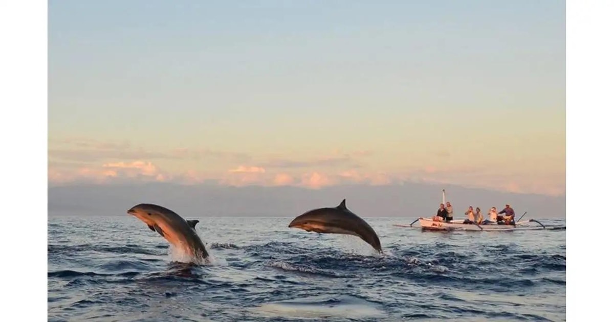 Bali: Lovina Dolphin Watching and Snorkeling Tour | GetYourGuide