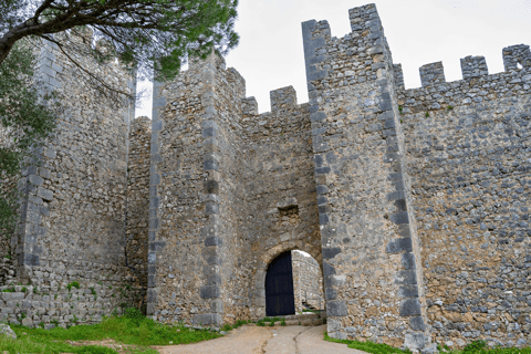 From Lisbon: Serra da Arrábida, Sesimbra, and Setúbal Wines Exclusive Private Tour