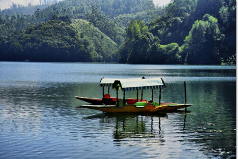 Old Delhi: culinaire streetfoodrondleiding met privévervoerPrivétour met auto, chauffeur en gids