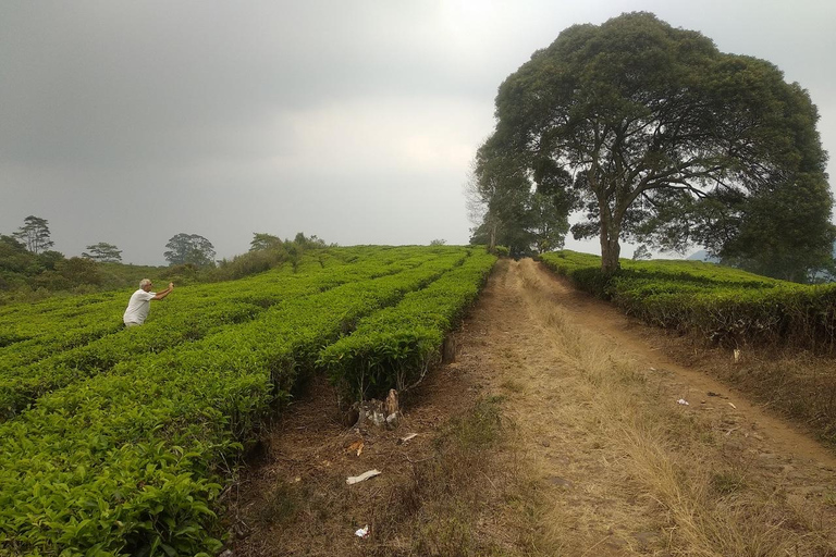 From Jakarta: Bandung Day Trip with Guide and Transport