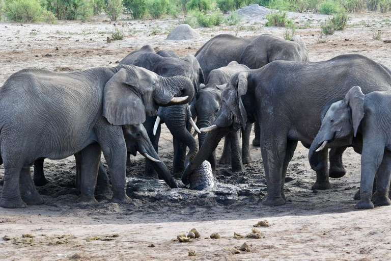 Victoria Falls: Guided Safari in Your Own 4x4 Vehicle