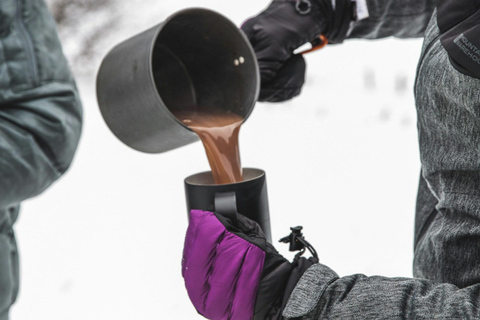 Las Vegas: l&#039;avventura di tagliare il tuo albero di NataleLas Vegas: diga di Hoover, città fantasma del West e cliff jumping